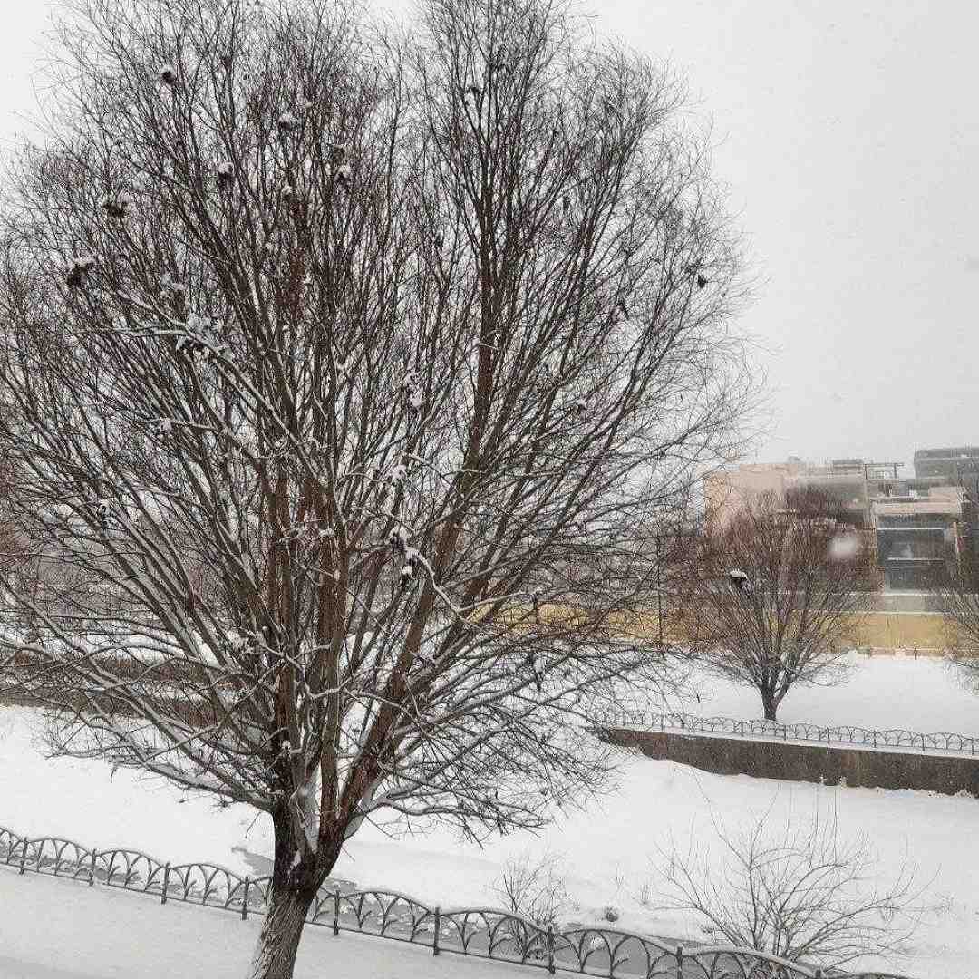 بهم حال میده بغلتو میخرم کل بدنتو