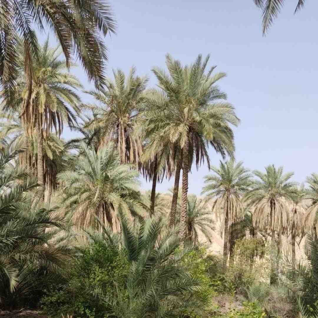  الان یه سالو یه ماهو یه روزه دلتنگتم دلم برات تنگه