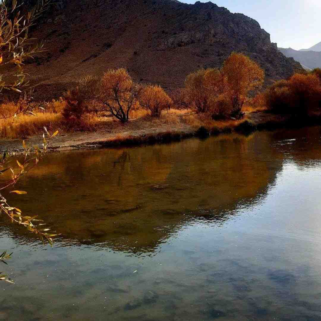 تو شدی قشنگ تر از پریا صدای زن