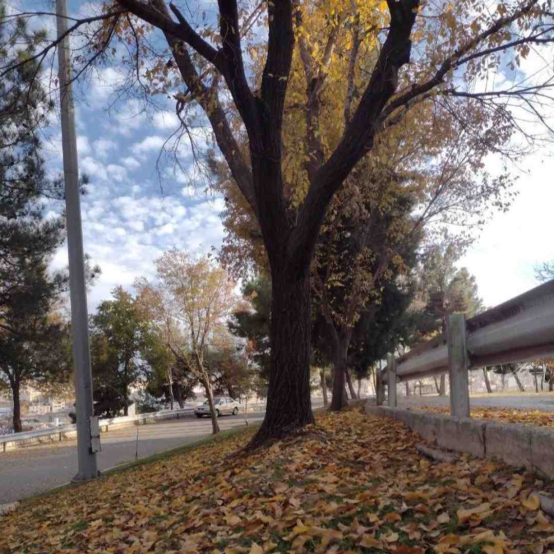  یه زمان میزدن همه دورم الان جین تو دستم