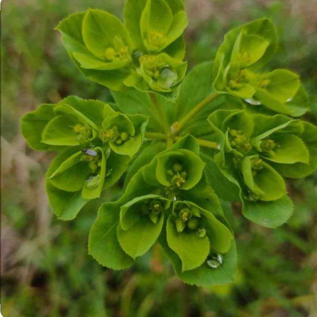  من دوست دارم حتی اگه دوریم از هم