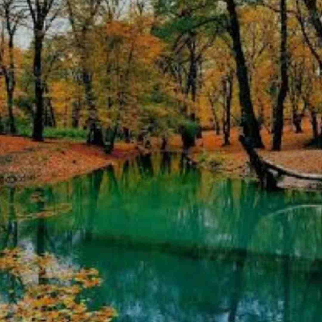 الان داغی نمیفهمی چی سرت اومده با صدای دختر لر اینستا