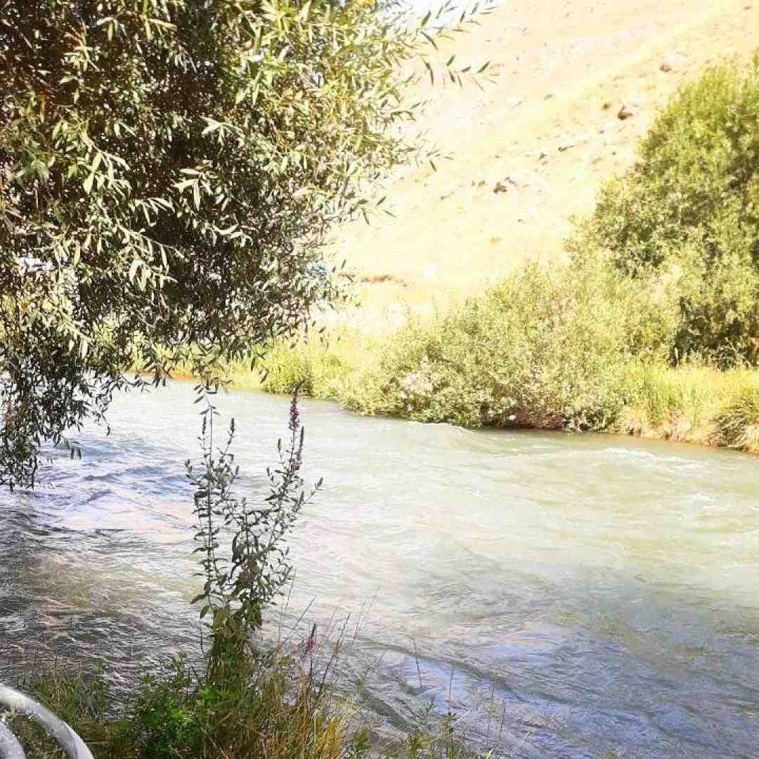  لپام به دوربینا چاله نمیدن هرروز میرسم به مو