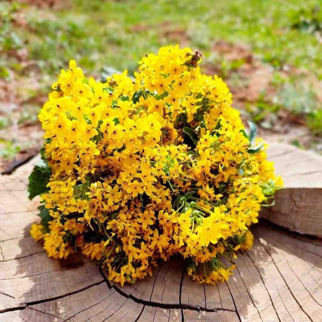  عشق تویی دوست تویی همه چیه من