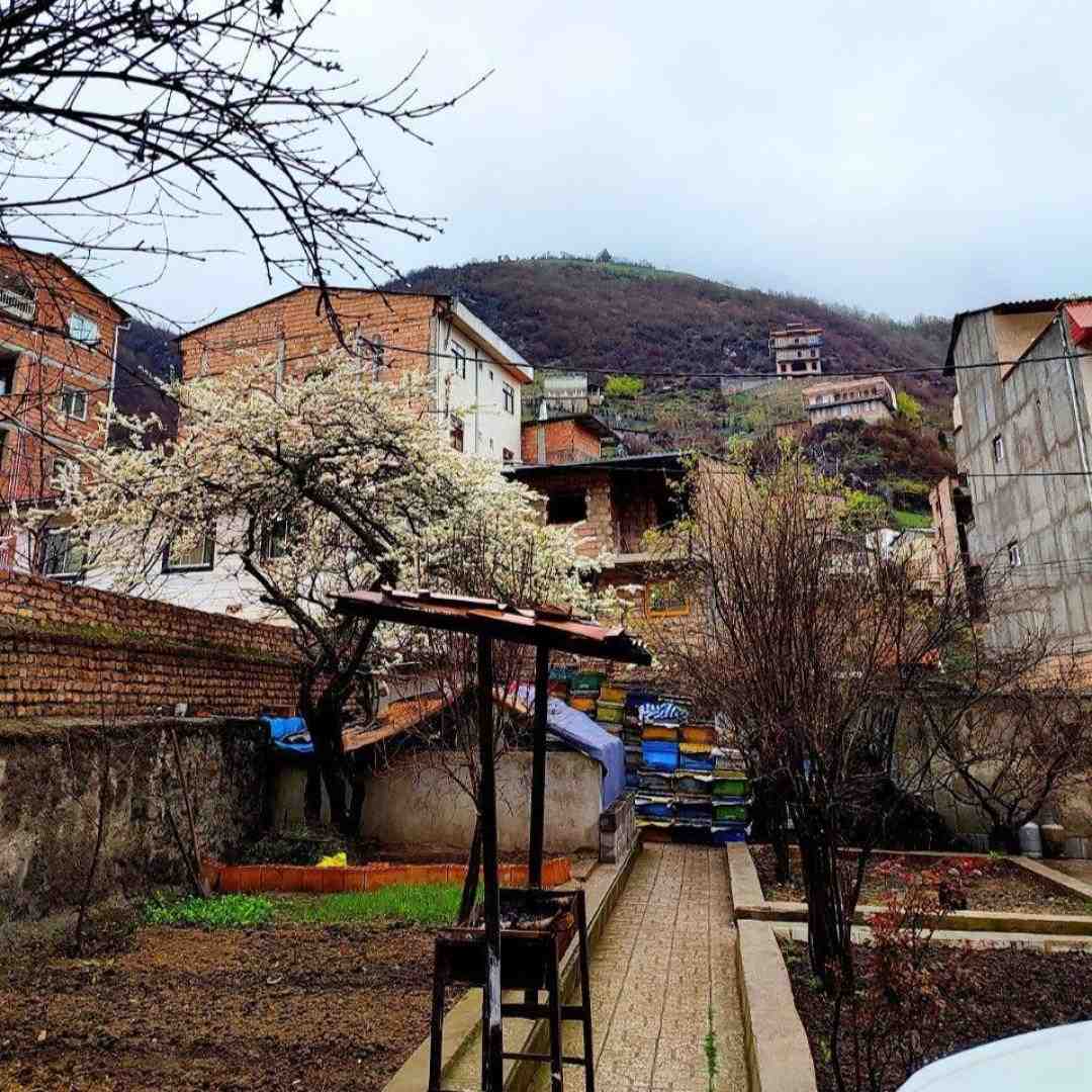 ترکی سون گونومه کادار کالپ دورانا کادار