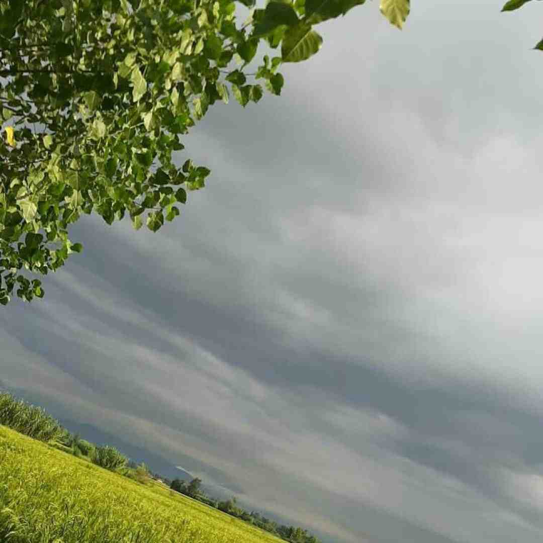 یا منو ببر به خونتون
