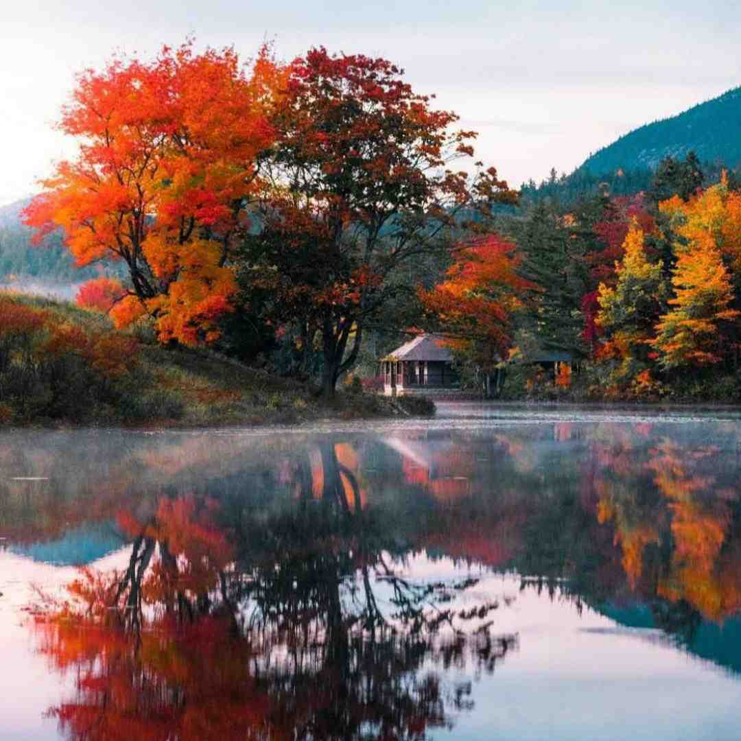 واسه اینکه بگی جونم هوش مصنوعی