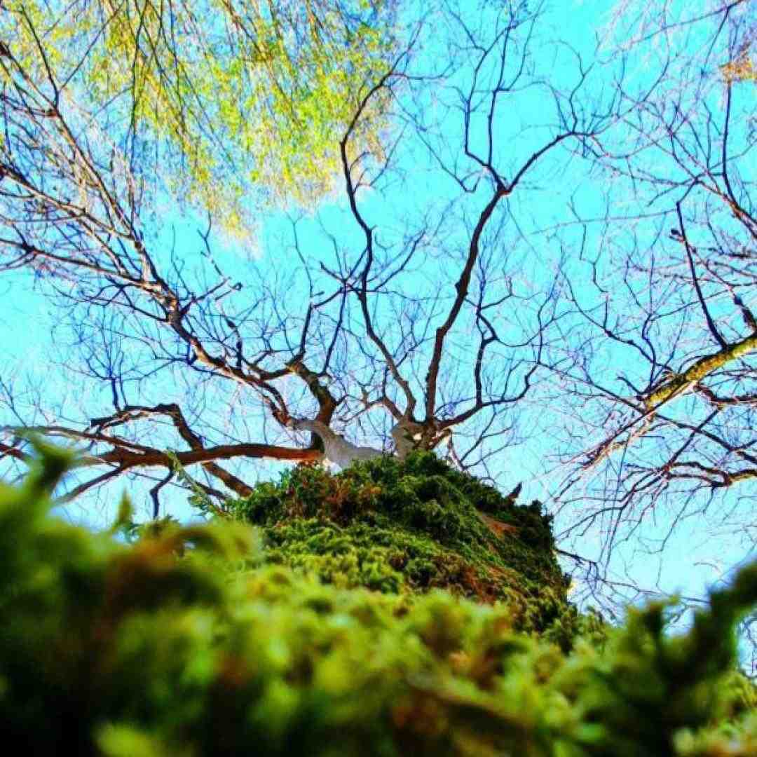 دوباره نخوابیدم افکار پریشون