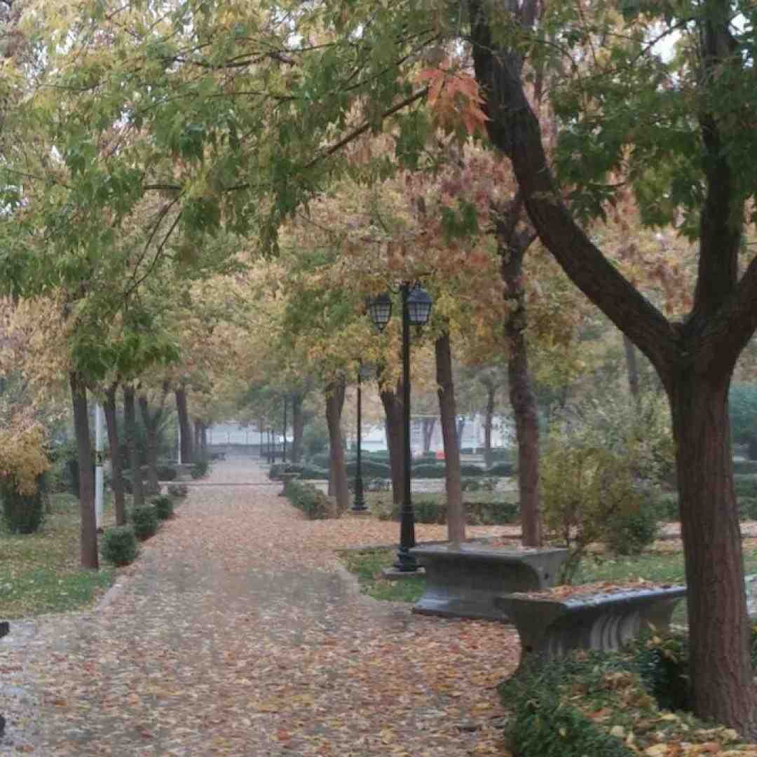 عزیزم من ساخته شدم برای تو