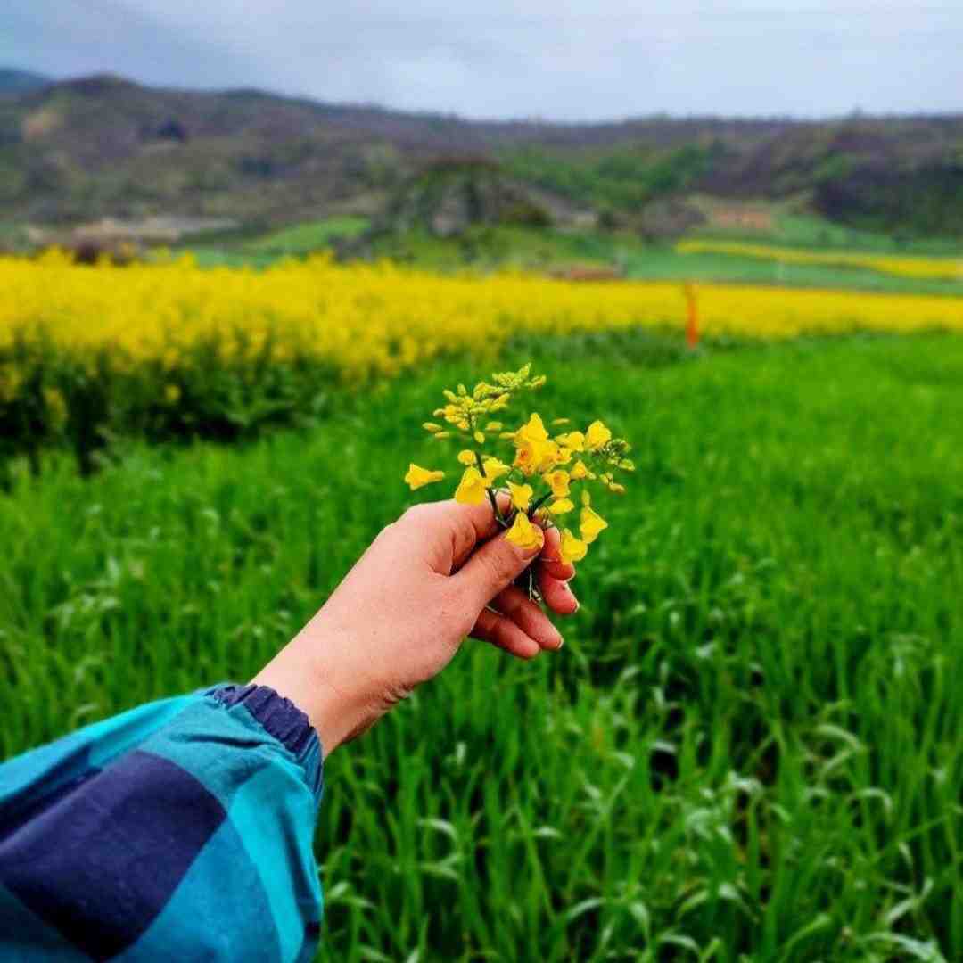  کی گفته دوری و دوستی خوبه (هوش مصنوعی)