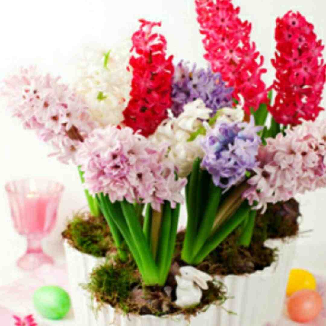 من مجنونتم تو اون لیلیه باش هوش مصنوعی