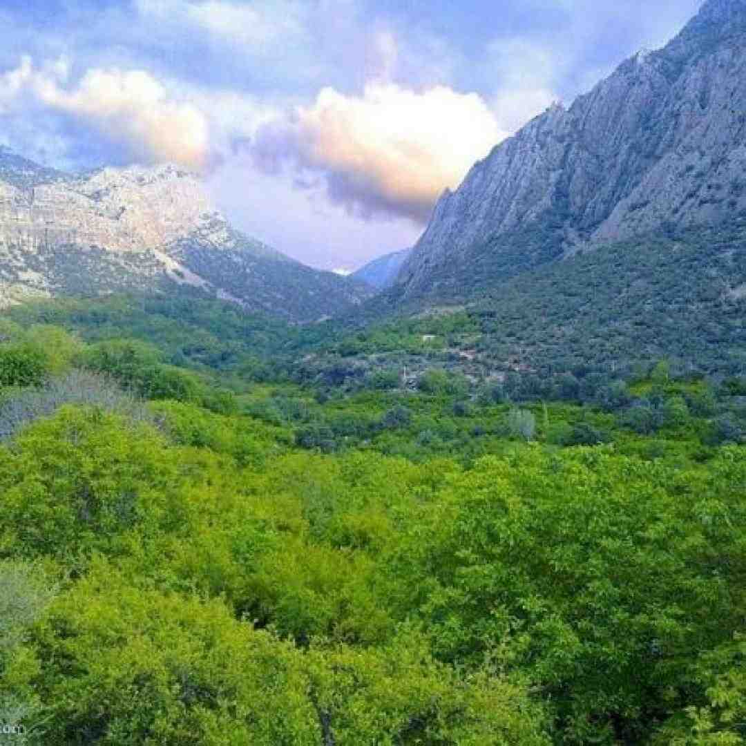  فکر نمیکردم اکسم شی بعد تو بشه نکستم کی