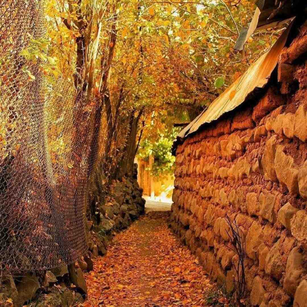 واسه آشتی با تو از راه دراز اومدم با صدای زن