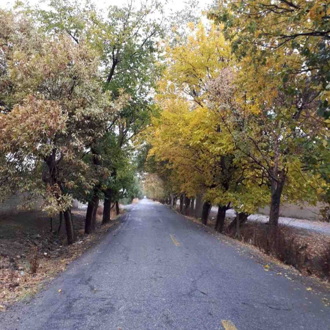  دیگه وقتشه برگردی با دوریم چطور سر کردی با صدای زن