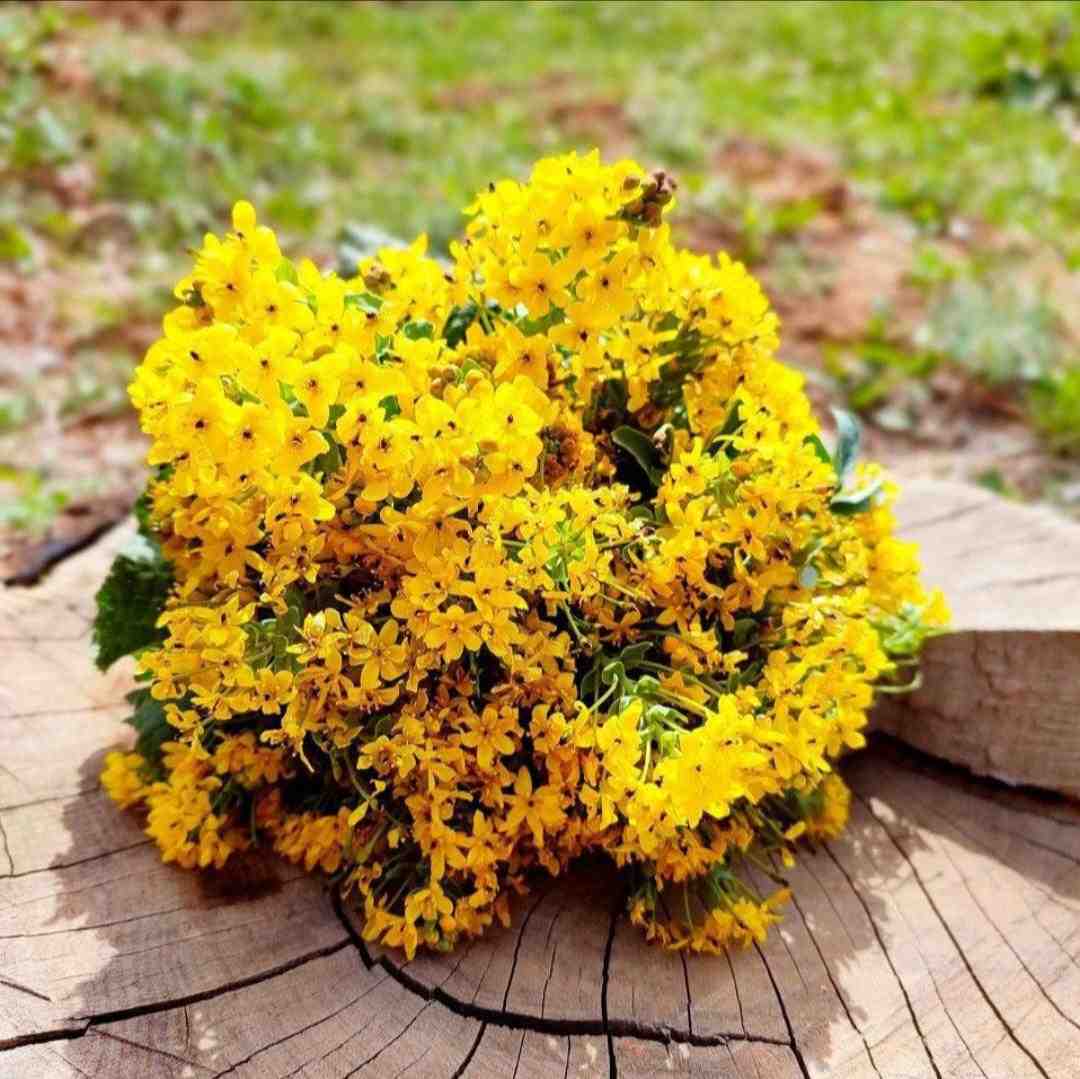  بچه اومد با یه ست تابستونی فکش عملیه