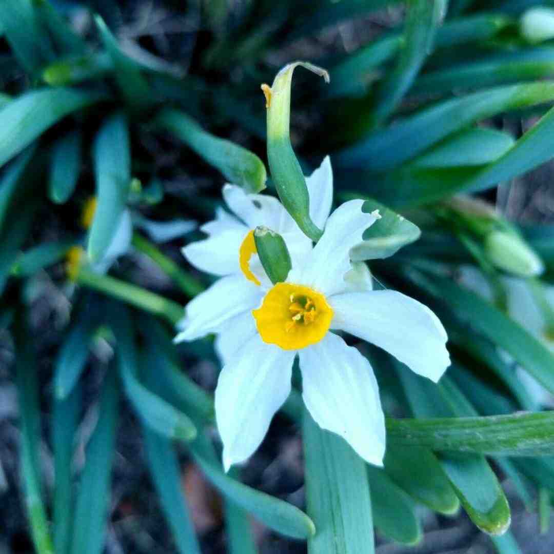 خیلی دوست داشتم که دستای تو همیشه مال من باشه