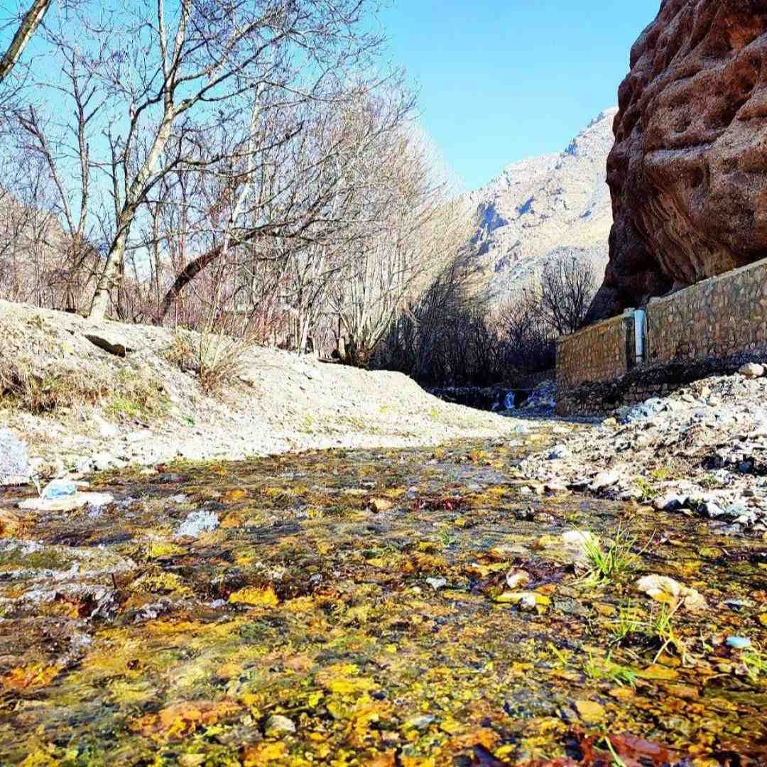 جوانی ام به مو رسیده (هوش مصنوعی)