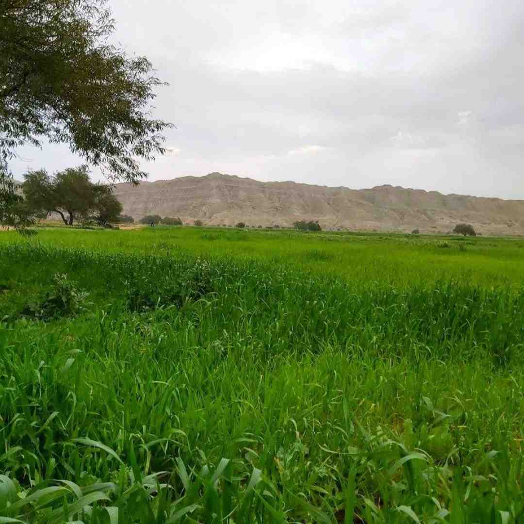  روزی که به دنیا اومدم همه پرستارا جمع شدن