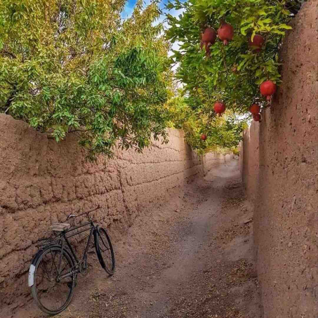دم در وایسادیم الو بیا پایین