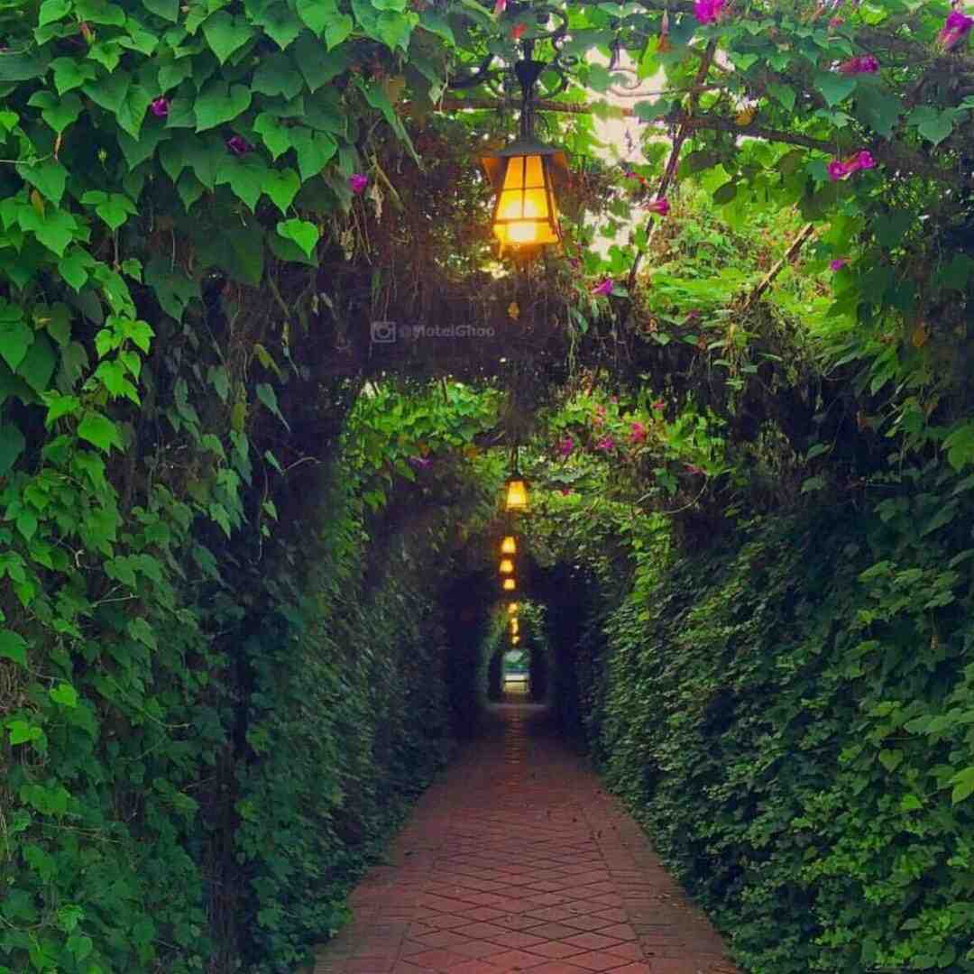  دمش گرم هرکی مونده پای عشقش با صدای زن