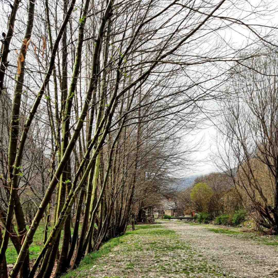  هیس هیچی نیست