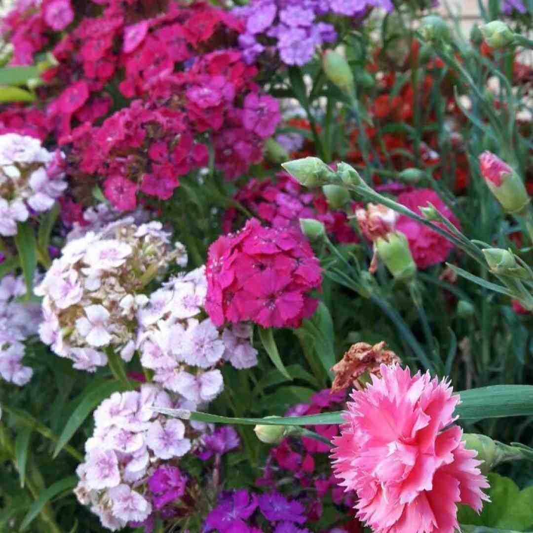  داره میرسه بوی محرم با صدای بچه