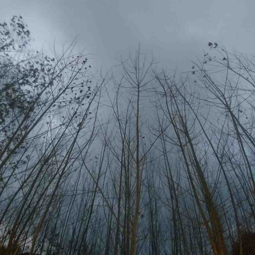  اون اگه بره مگه میشه که تنگ نشه دلش