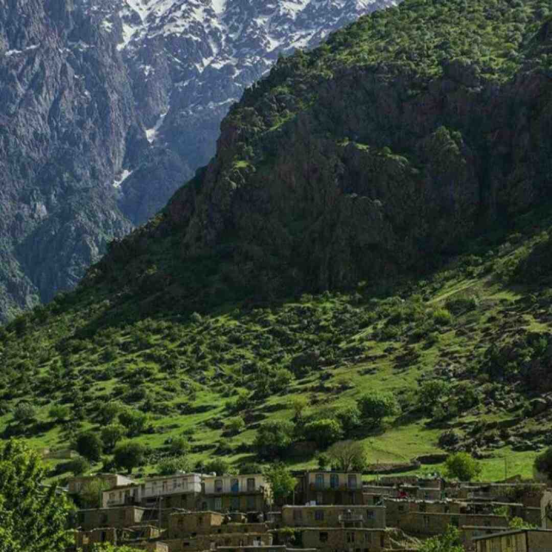  بامبولی بامبولی ببینید عظیمچیک چه خبرایی داره