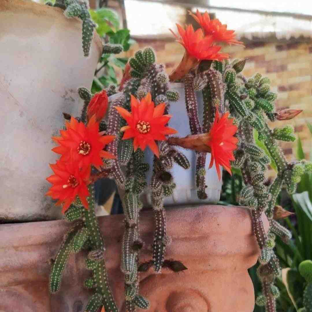 بین ما کلی خاطرست عکسا تو قاب عکس