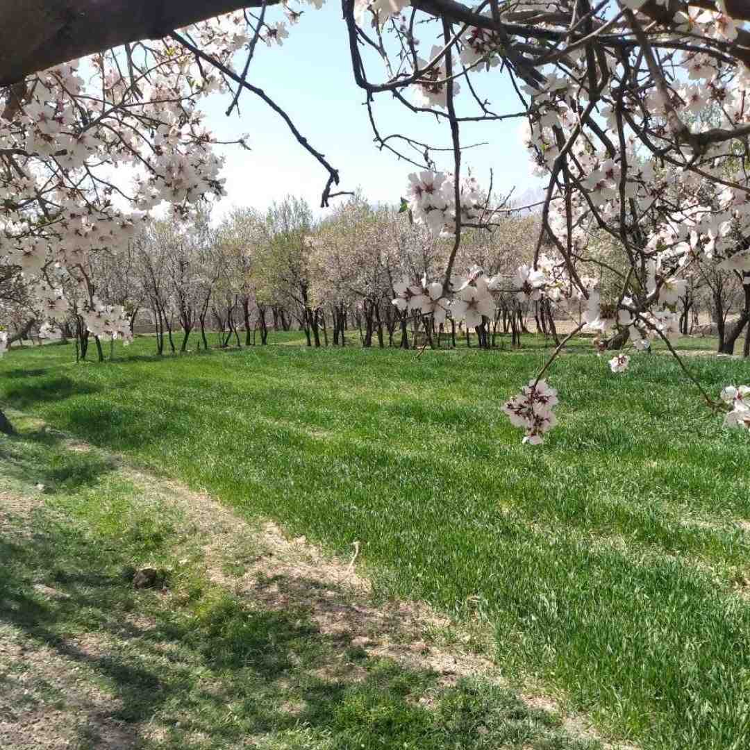 یار سنین ادینی شهیرلره یازاریم