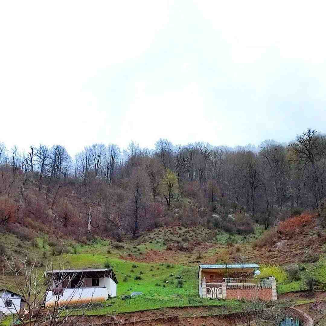  تو شدی مثل خون تو رگام با صدای زن