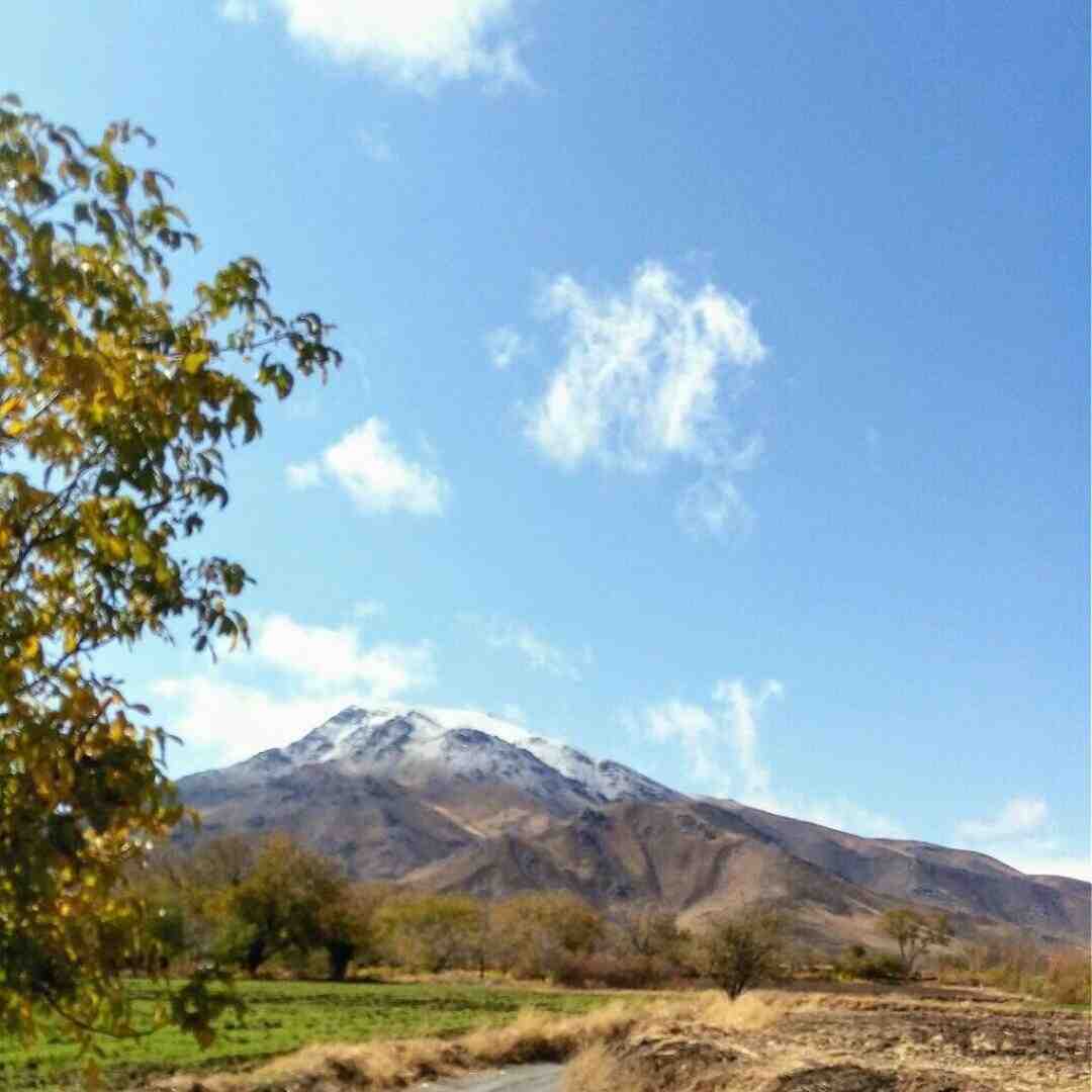 نکن اینجوری با دله من علی نمیمونه علی لال درد