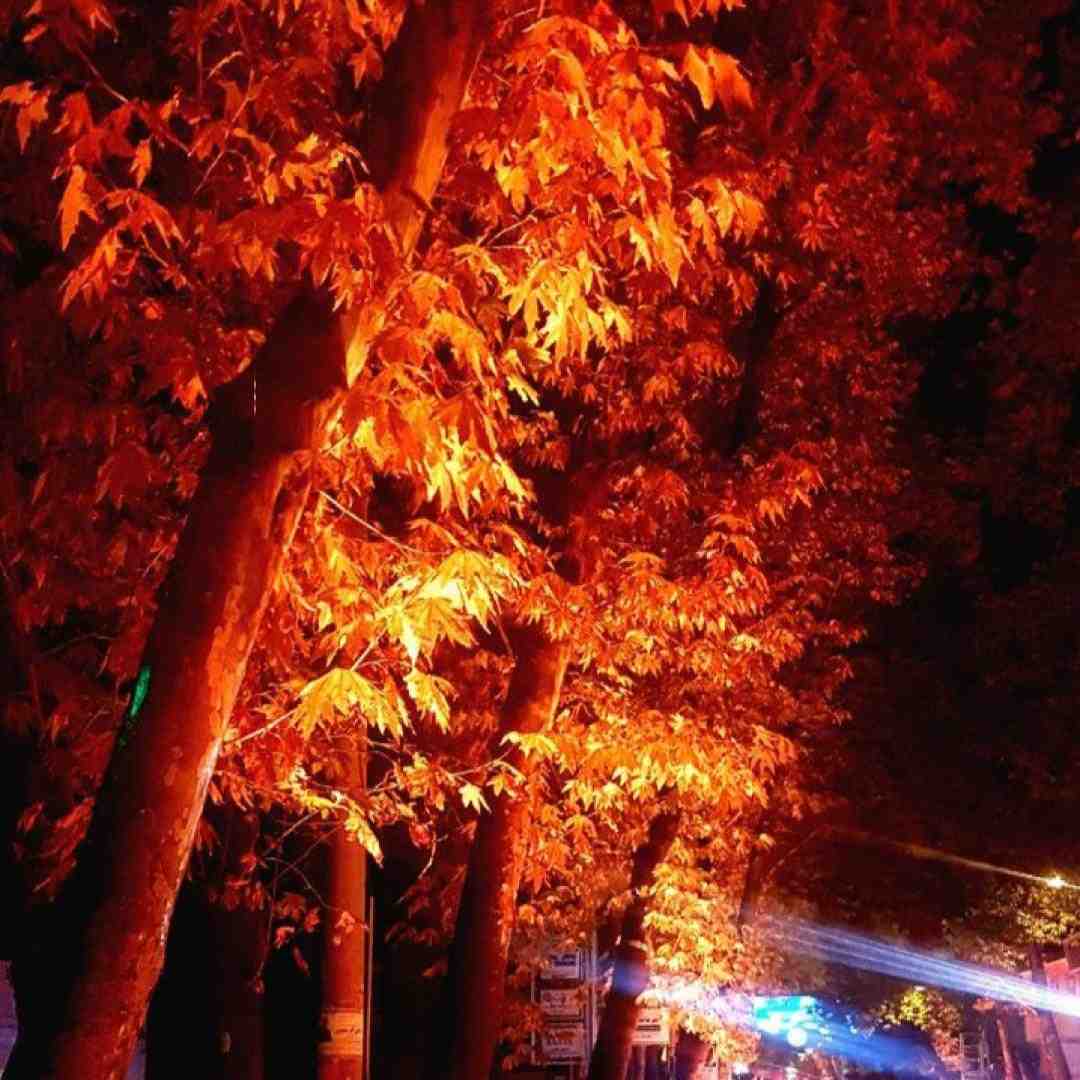 اونسوز گجلر یانا یان