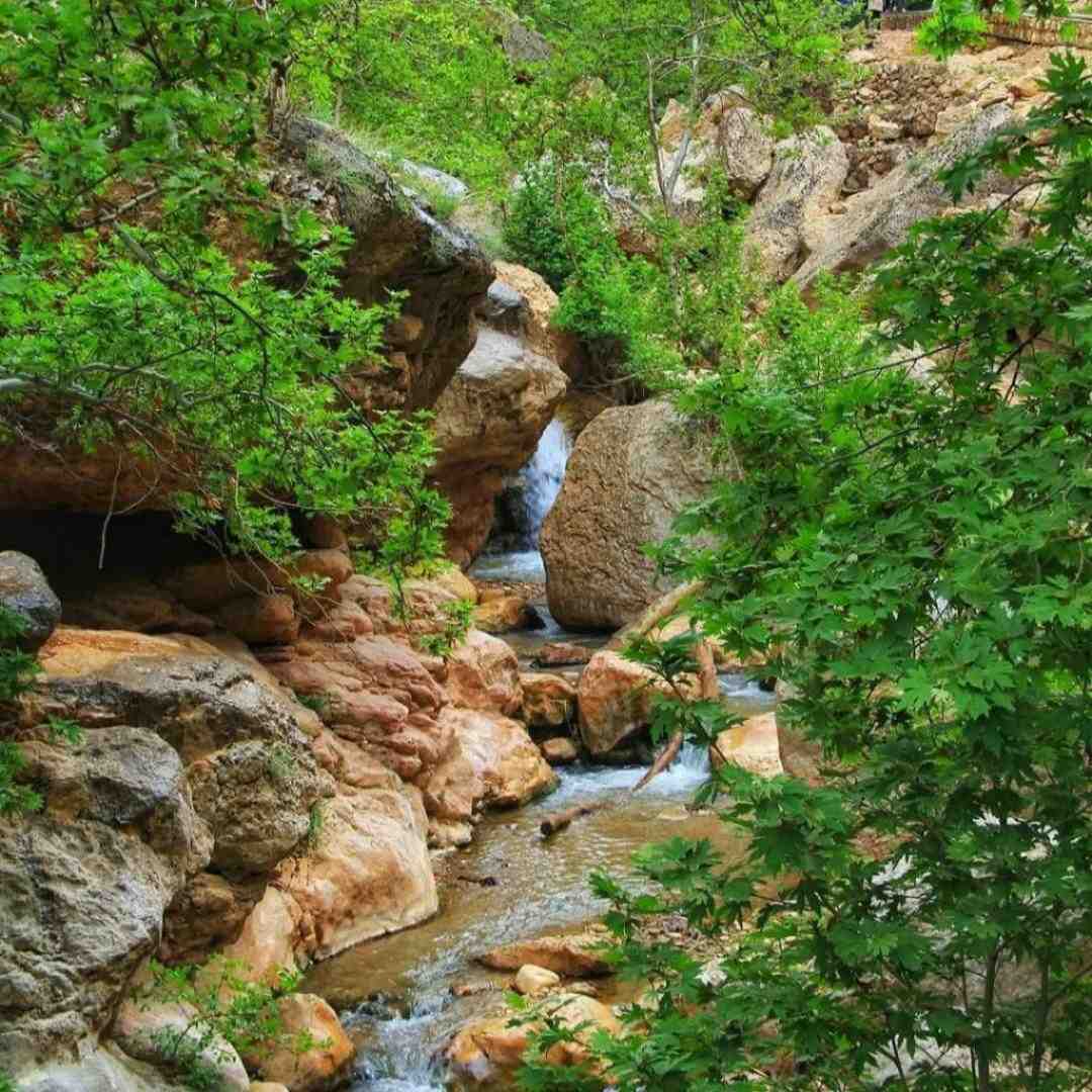 آخه یه آدم چقد میتونه تنها شه هوش مصنوعی