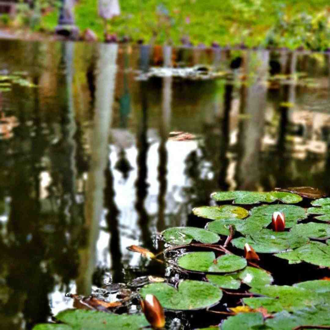 گریه کن گریه قشنگه گریه سهم دل تنگه
