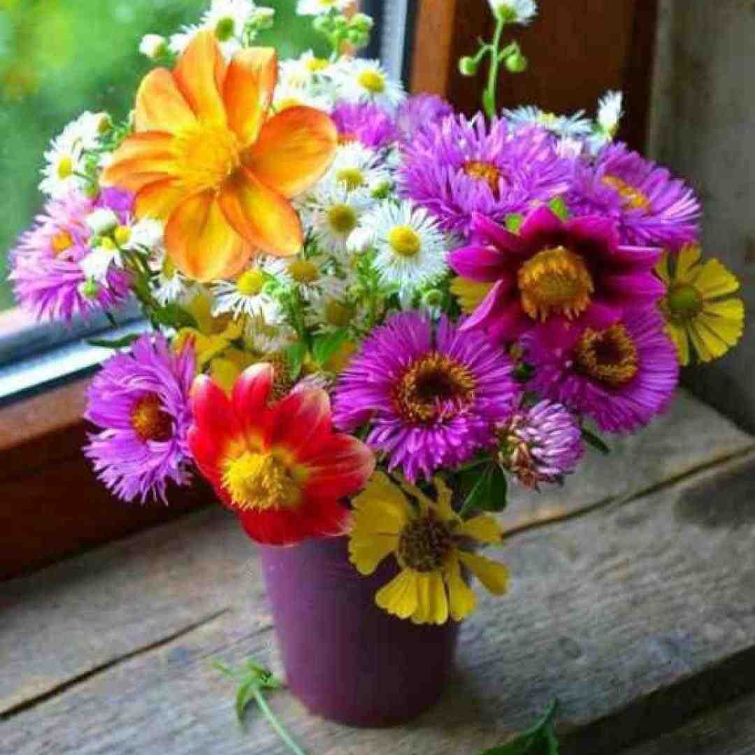 به به ببین کی اومده تو زندگیم