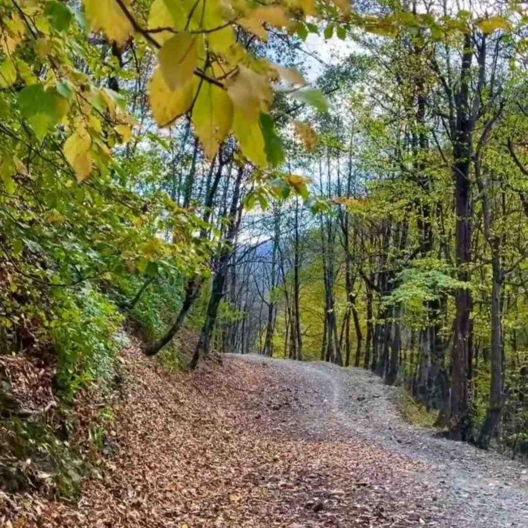 اینهمه از تو نوشتم اینهمه ورق سوزوندم با صدای زن