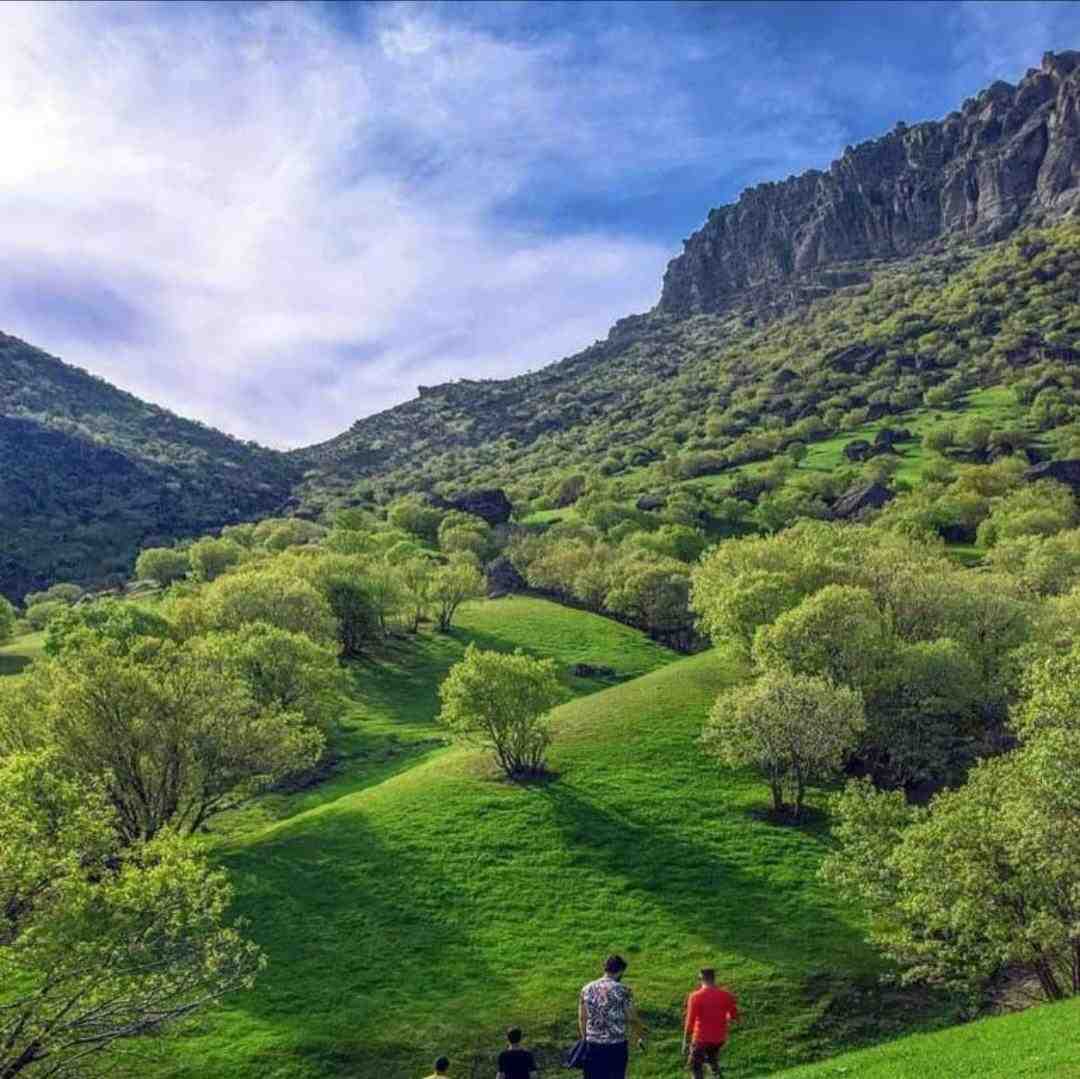 شنیدم حرفاتو فکر نکن حواسم نبود با صدای دختر زن