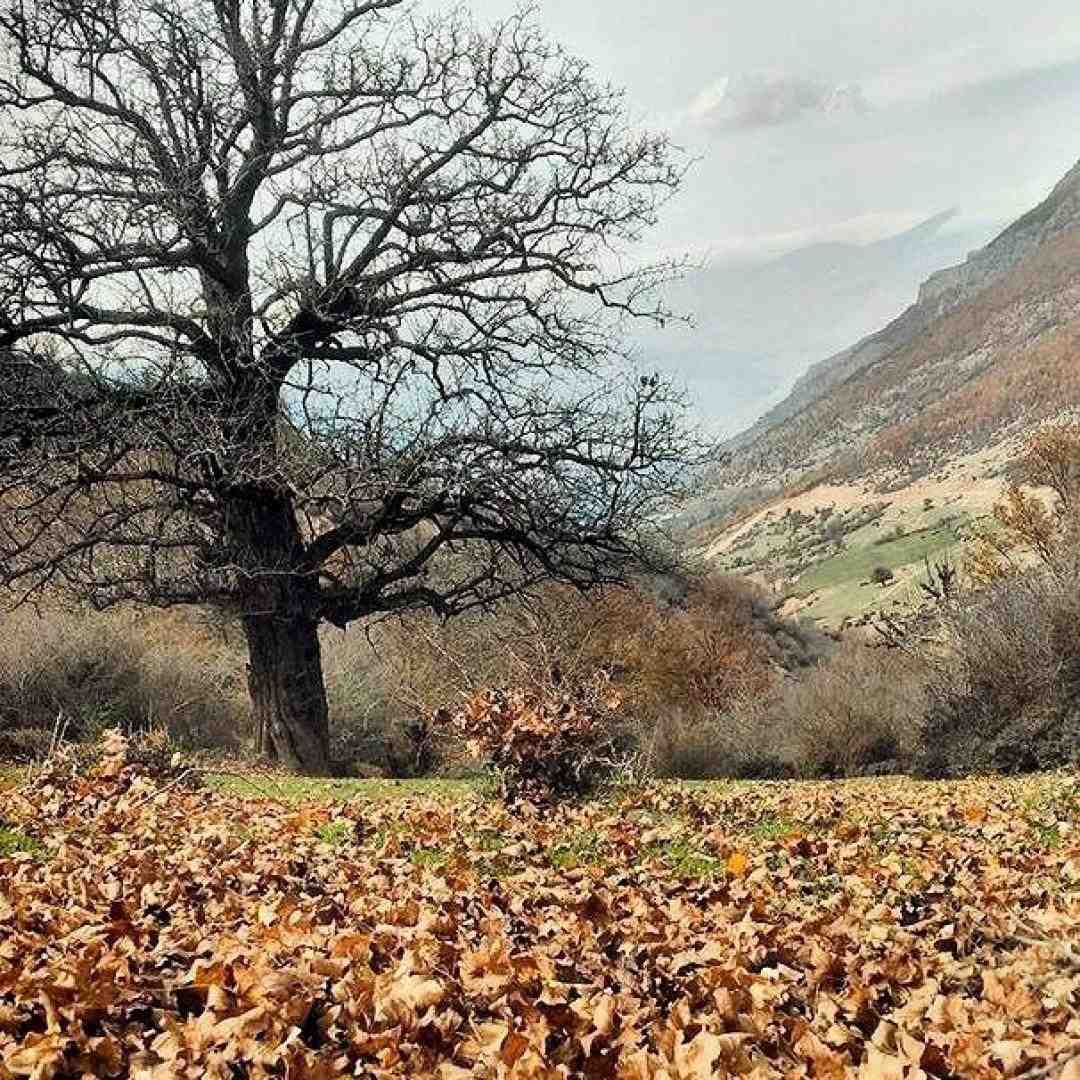  نگو نه من اصلا ندارم جنبه باختن رو