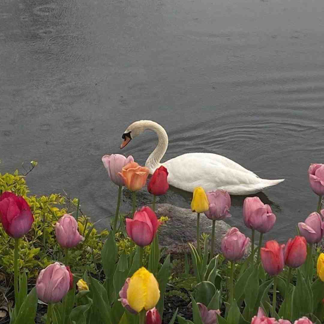  می‌خوام نرم ولی دوستام دم درن