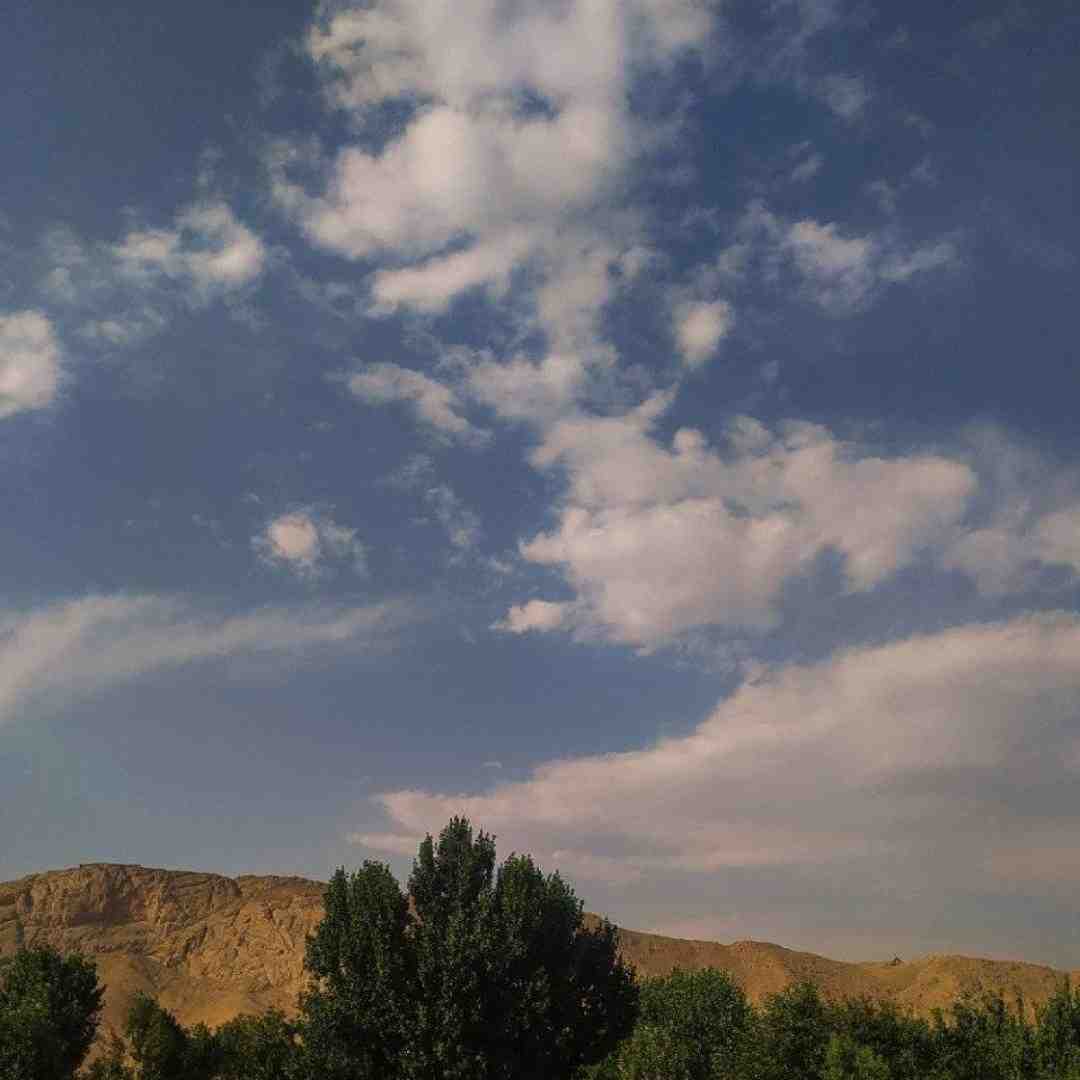 بدو عمان مرسیدس 4 نسوان