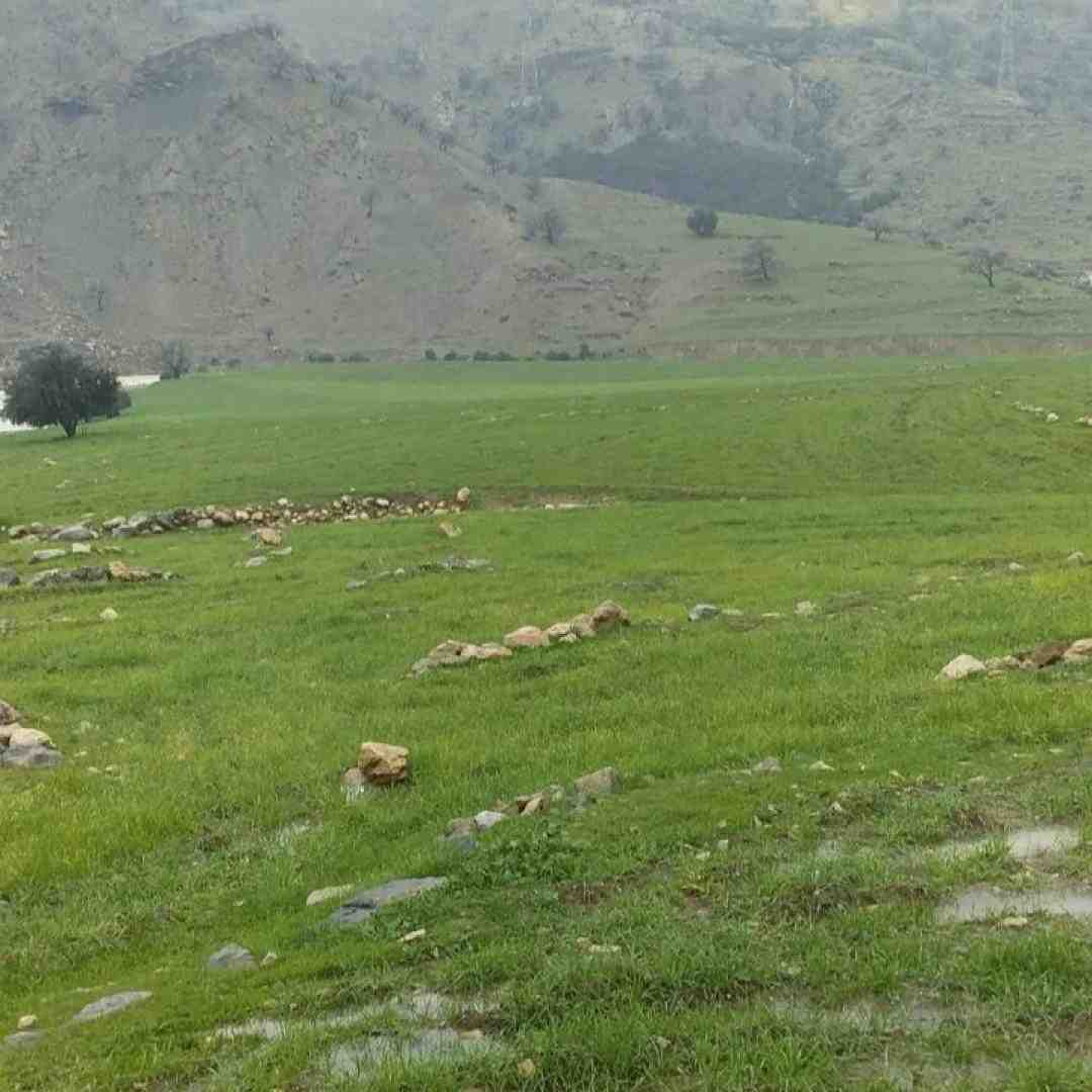 خواب دیدم خواب دیدم قلبمو بی تاب دیدم