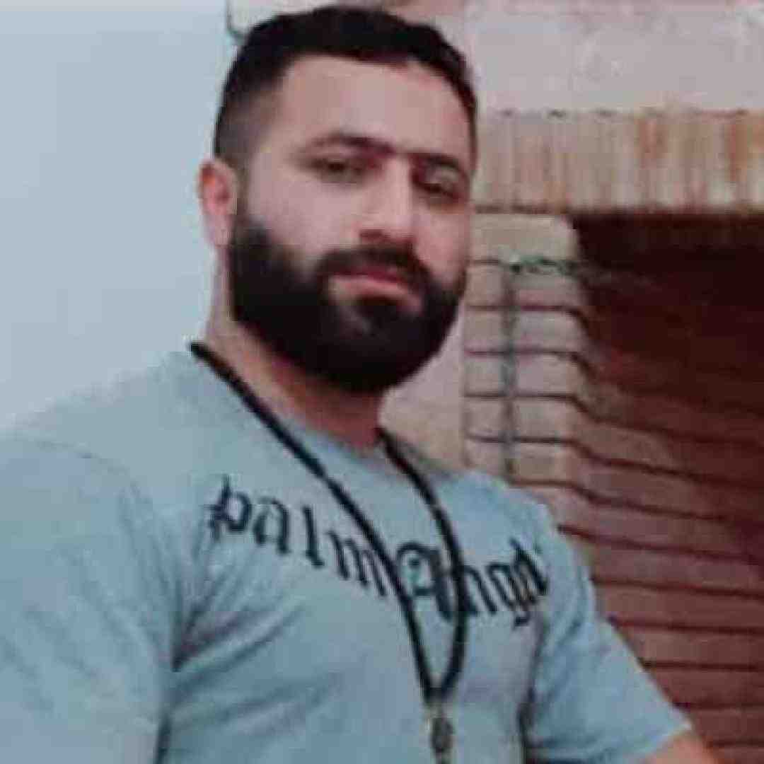 وحید مرادی عاشق بیمه به زودی دلبر چه بی وجودی