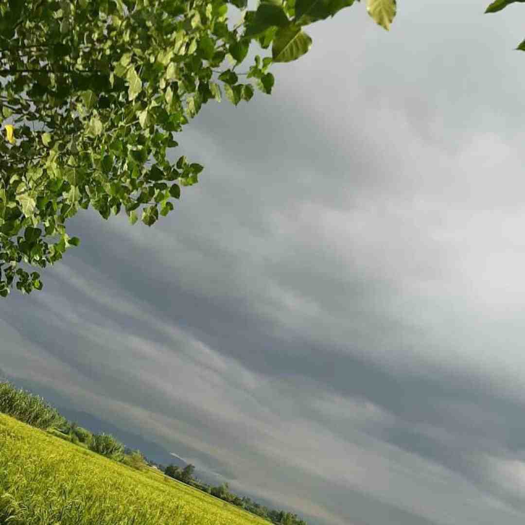 شنیدم با همشون داری فرق مثل این چینا