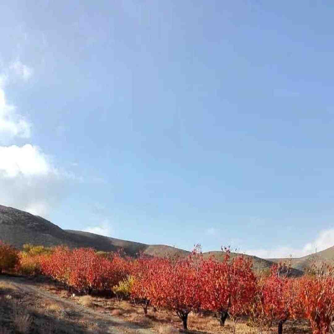  وان تو تری فور (چالش اینستاگرام)
