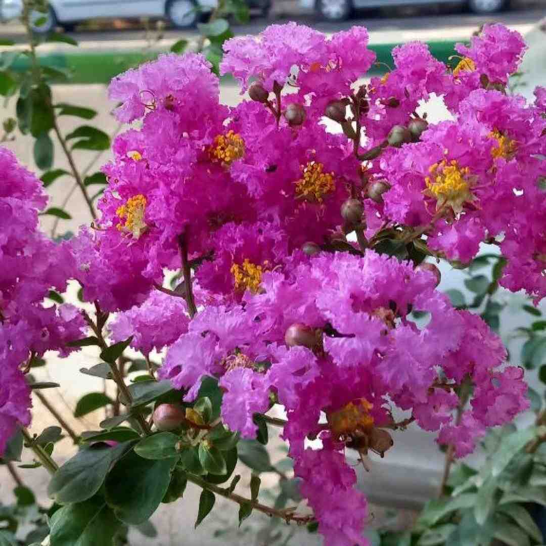  فکرشو نمیکردی نه