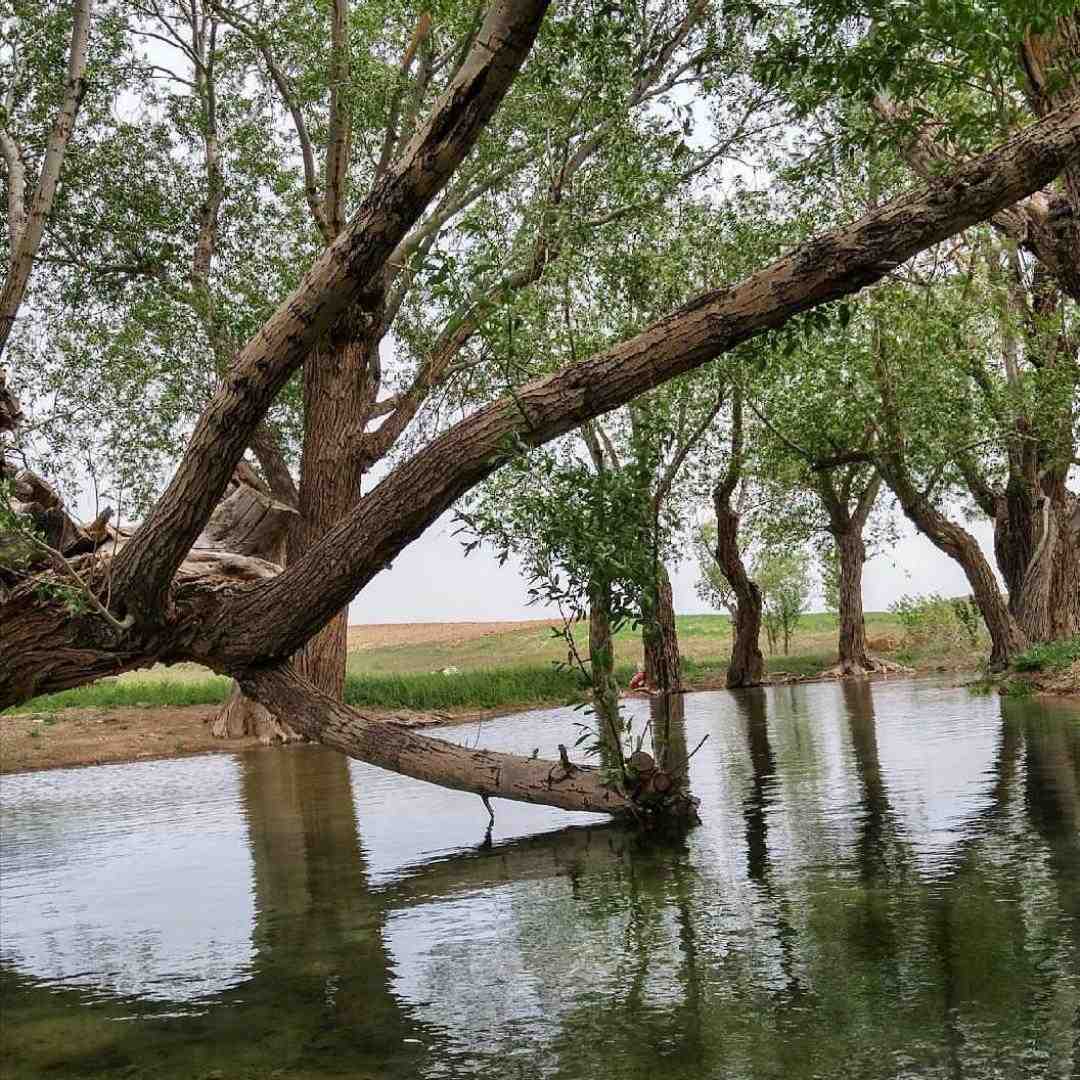  نمیدونم کجا میریم با تو هیچ جا دو راهی نی