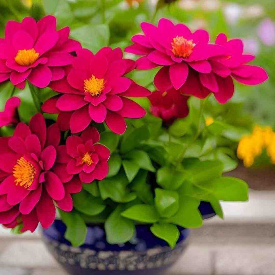 ناز داره چه وای قر کمرش کشته منو وای