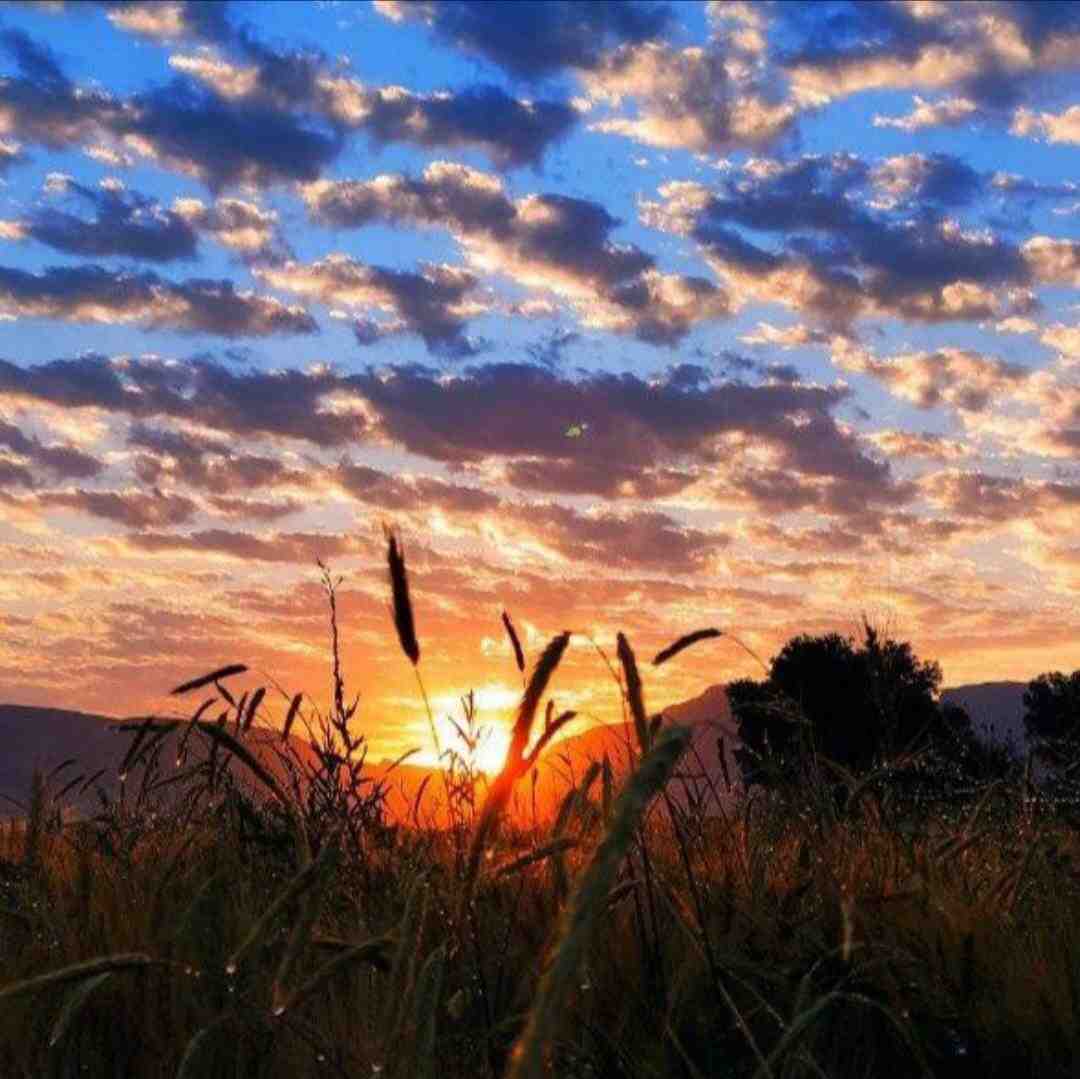  هر روز هفته سر گذر محله
