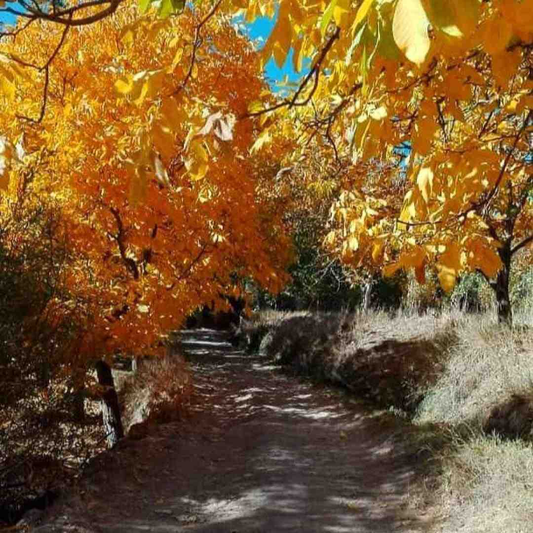  چیزی نگو چشات همچیو گفتن